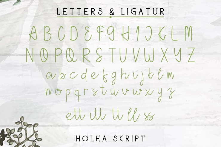 Holea字体 3
