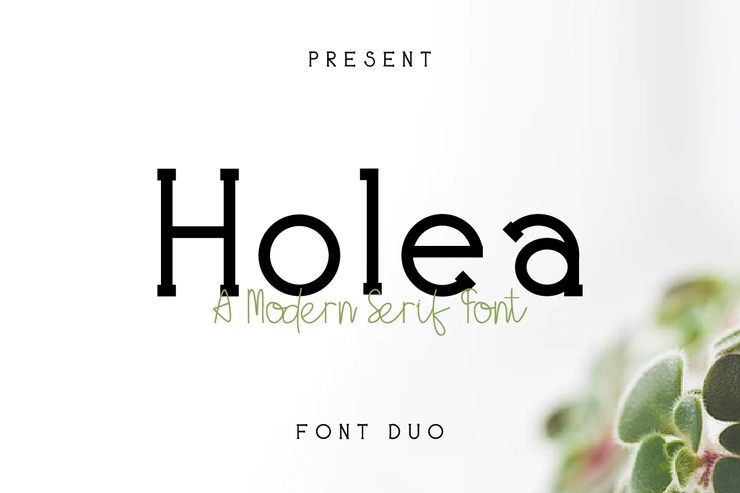 Holea字体 9