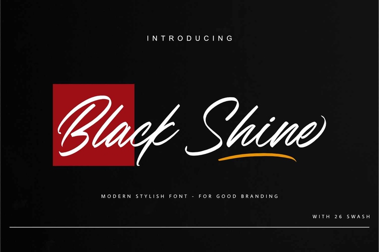 Black Shine字体 7