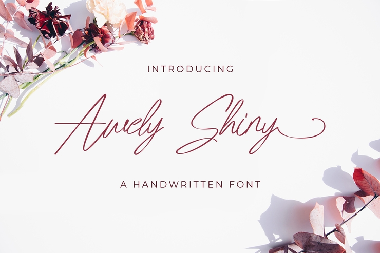 Awely Shiny字体 6
