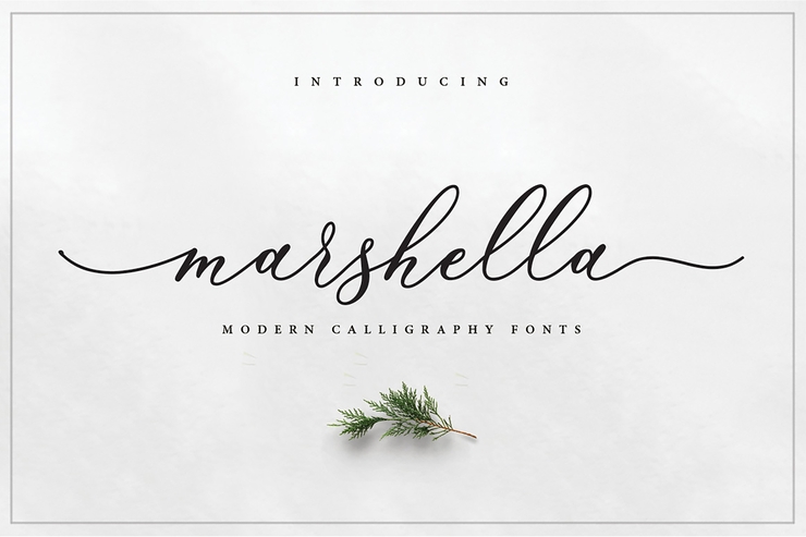 Marshella字体 2