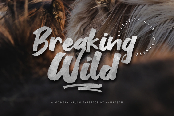 Breaking Wild字体 1