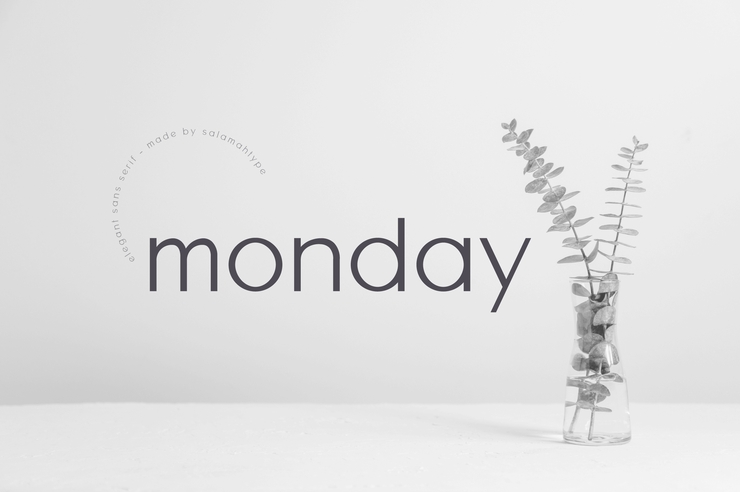 Monday Sans字体 1