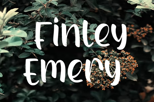 Finley Emery字体 2