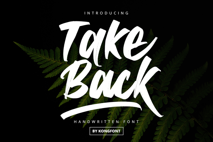 Take Back字体 1