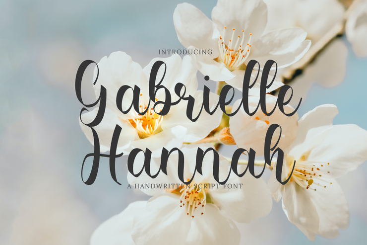 Gabrielle Hannah字体 3