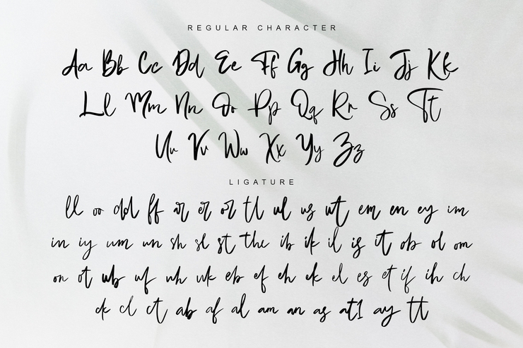 Christopher 's handwriting字体 1