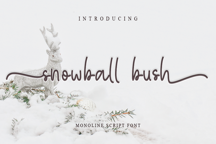 snowball bush字体 1