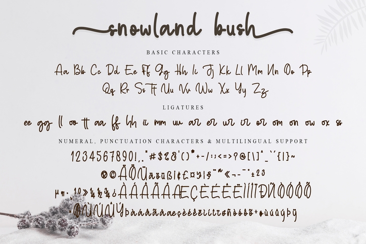 snowball bush字体 8