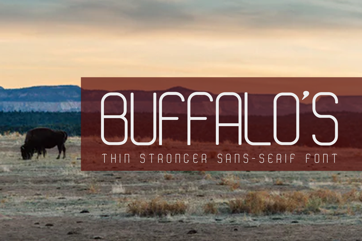 Buffalo 's -字体 2