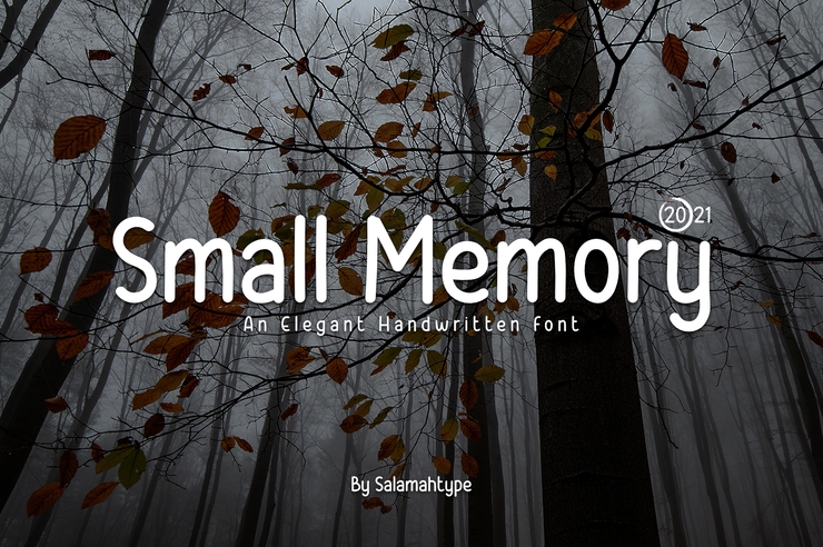 Small Memory字体 2