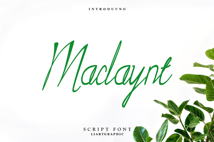Maclaynt字体 5