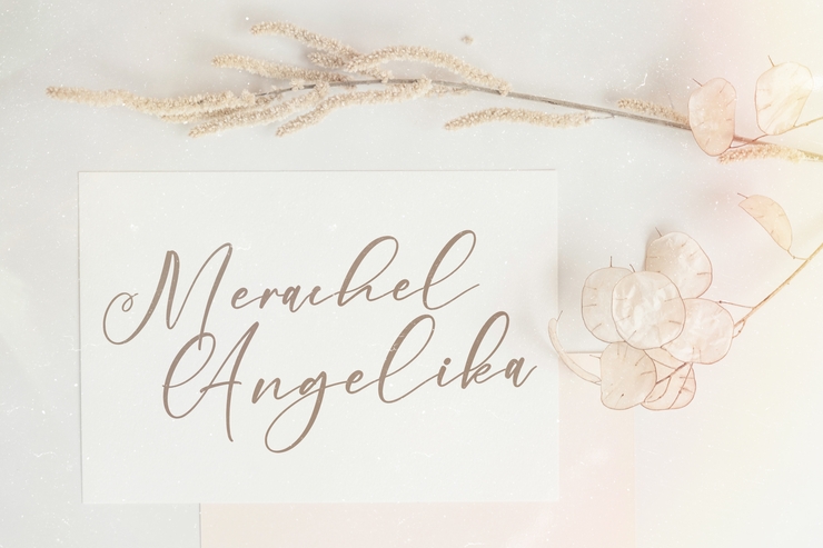 Merachel Angelika字体 7