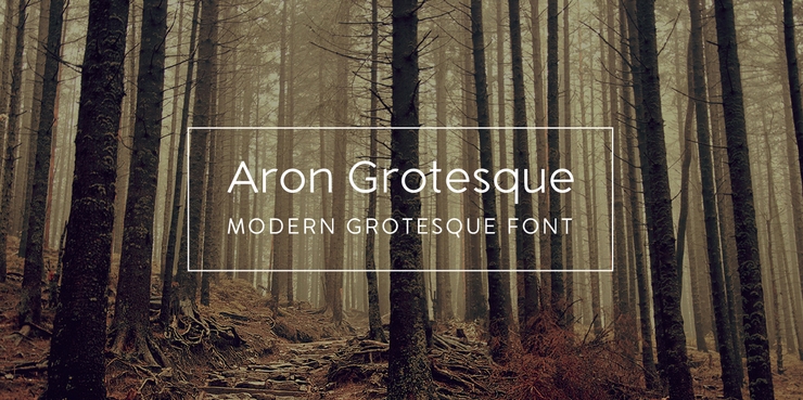 Aron Grotesque字体 4