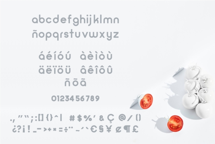 Zilap Minimalist字体 3