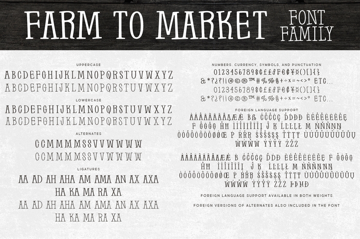 Farm to Market字体 3