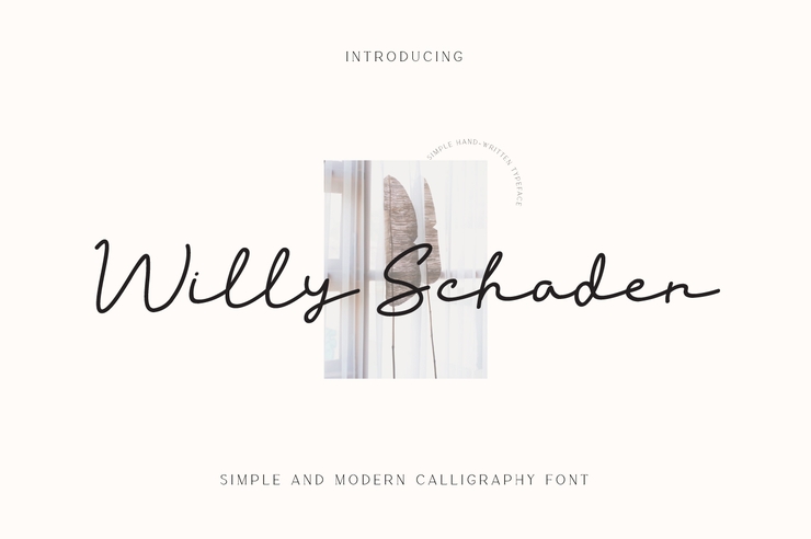 Willy Schaden字体 1