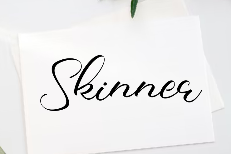 Skinner字体 2