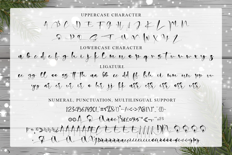 Christmas Signature字体 9