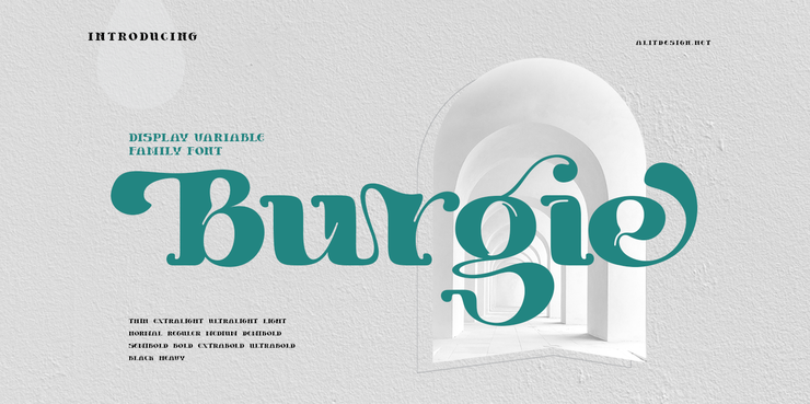 Burgie Black字体 7