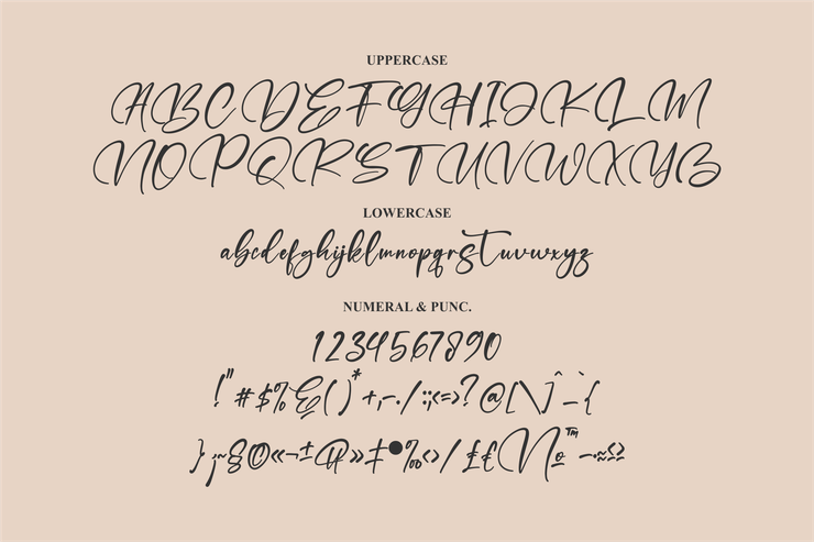 Refliottis字体 5
