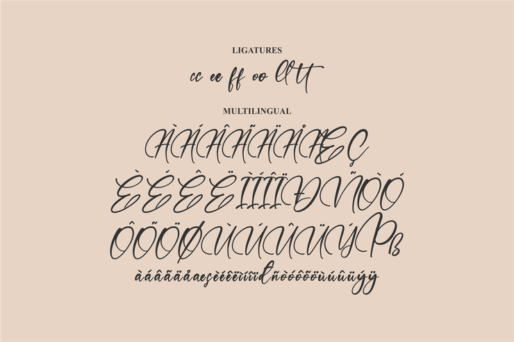 Refliottis字体 10