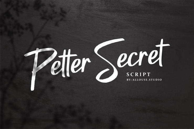 Petter Secret字体 2