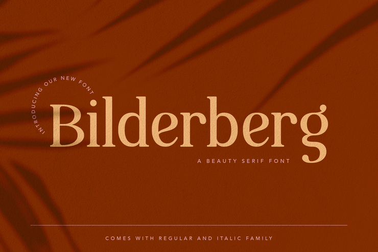 Bilderberg字体 1