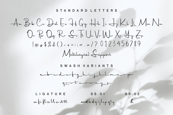 Hildaquin字体 1