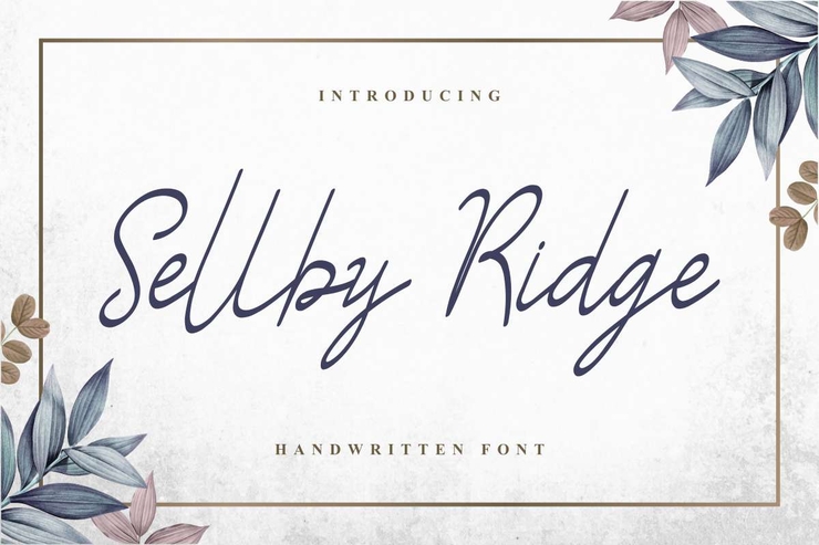 Sellby Ridge字体 1