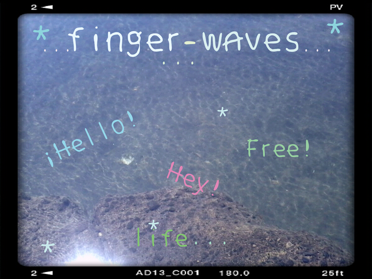 finger waves字体 1