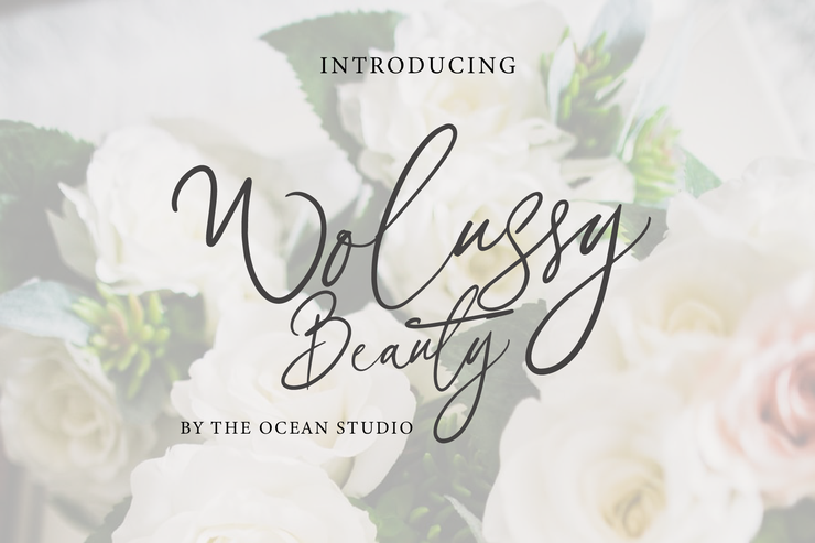 Wolussy Beauty字体 2