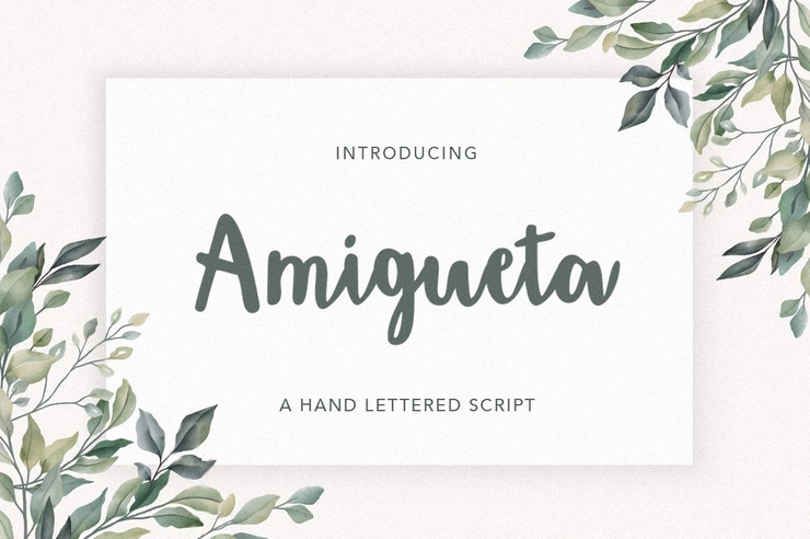 Amigueta script字体 2