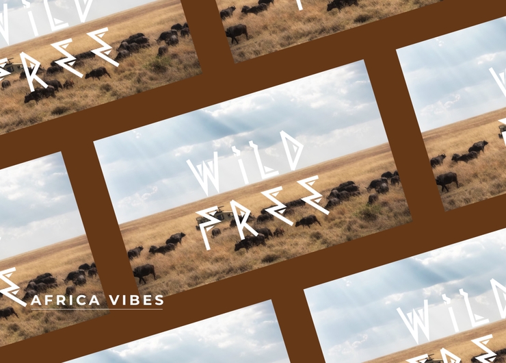 Africa Vibes字体 3