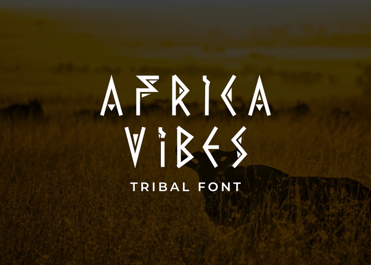 Africa Vibes字体 4