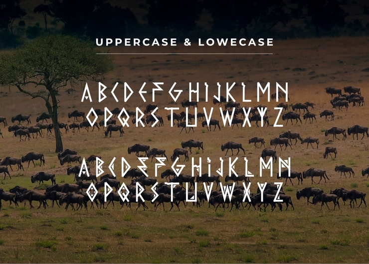 Africa Vibes字体 6