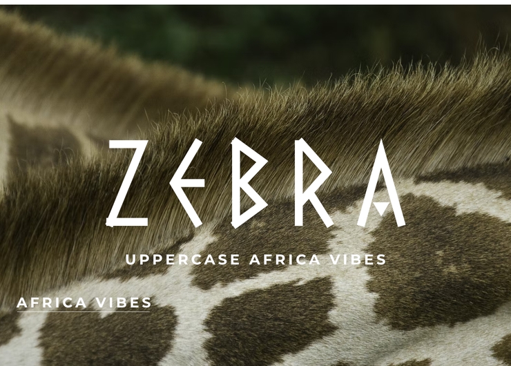 Africa Vibes字体 7