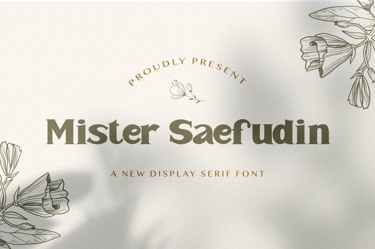Mister Saefudin字体 9