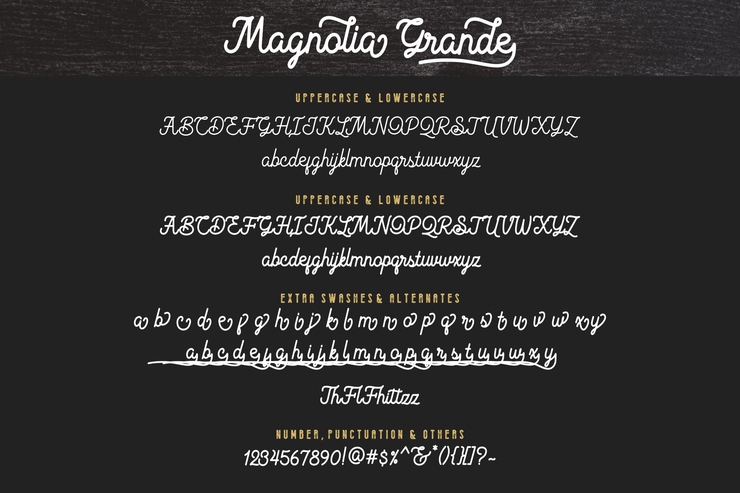 Magnolia Grande Regular字体 4
