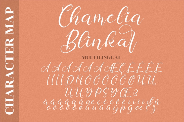 Chamelia Blinkar字体 3