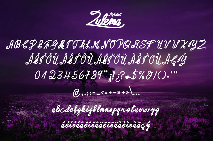 Zulema字体 2