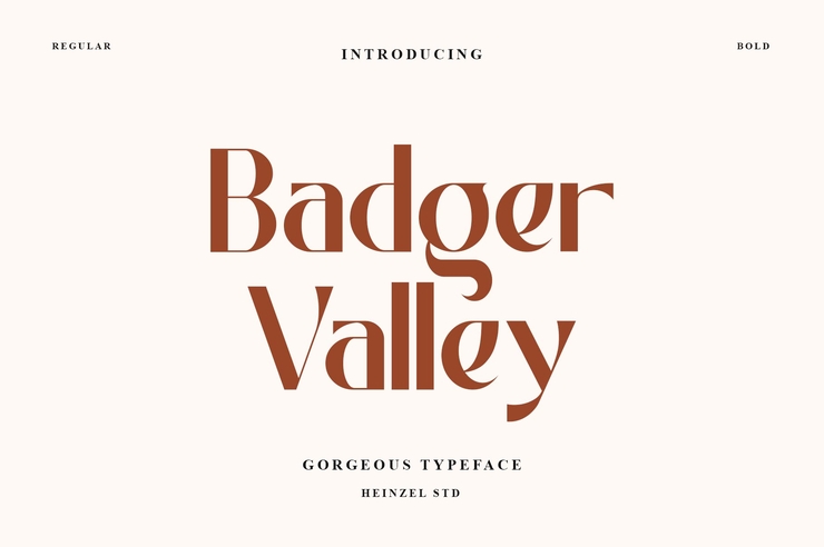 Badger Valley字体 1
