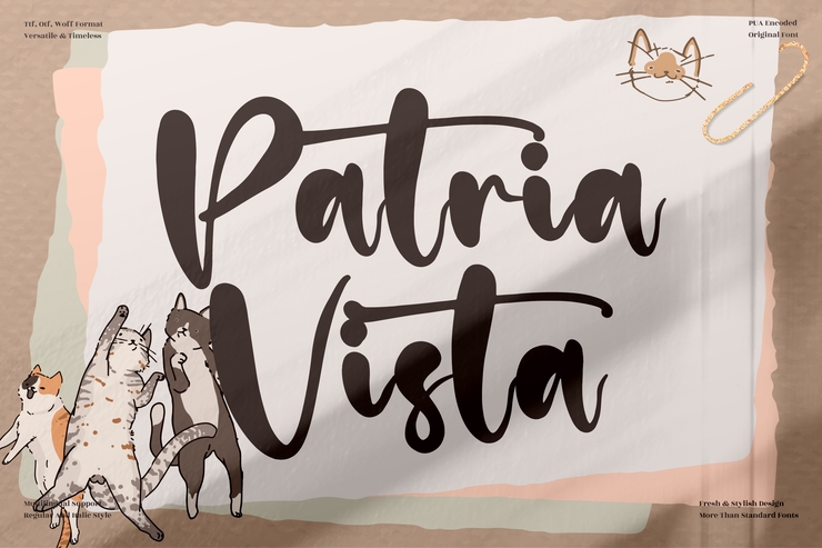 Patria Vista字体 1
