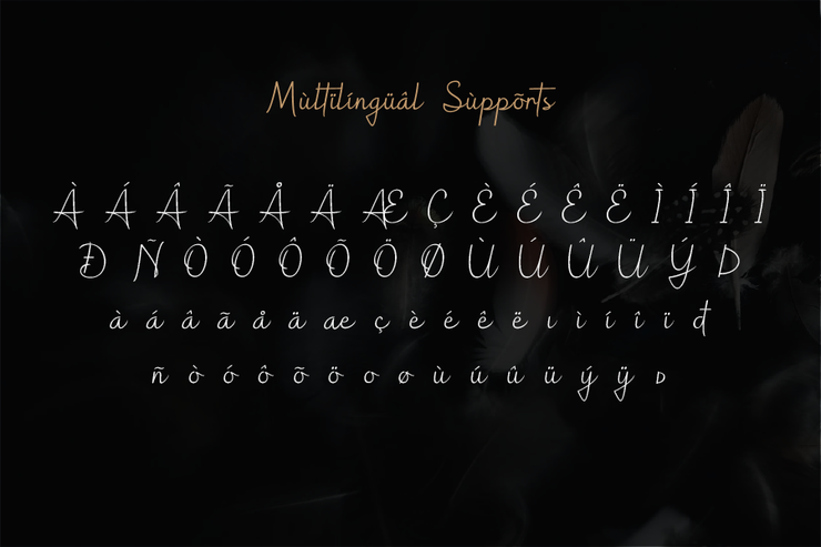 hollograph字体 1