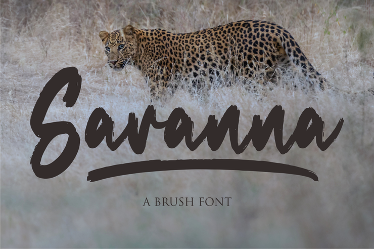 Savanna字体 3