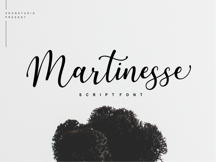 Martinesse字体 1
