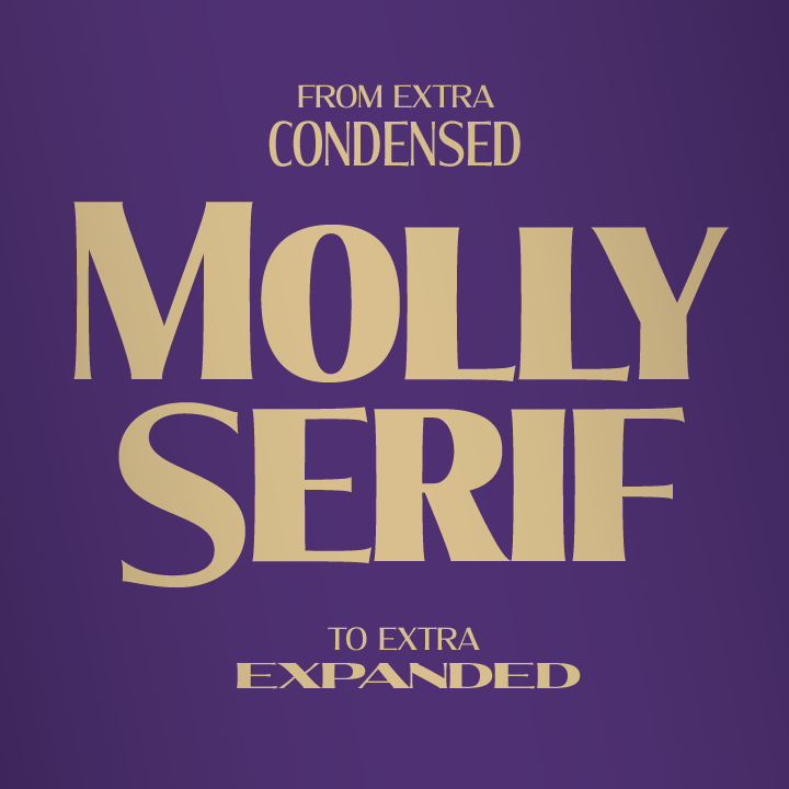 Molly Serif Expanded字体 4
