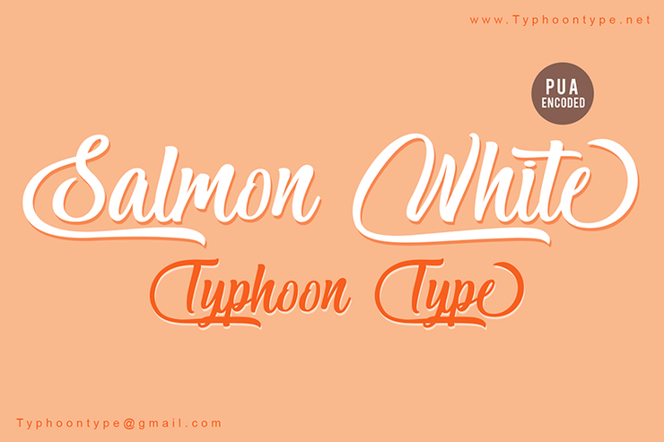 Salmon White (Personal Use)字体 1