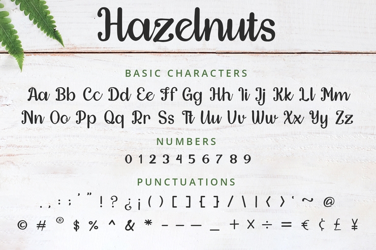 Hazelnuts字体 3
