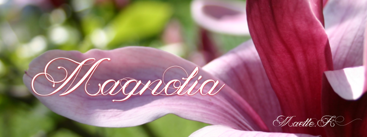 Magnolia 字体 1